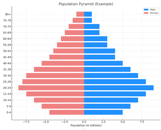 gambar piramida penduduk