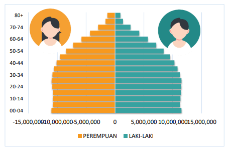 Piramida penduduk Indonesia