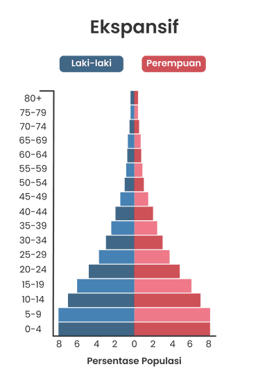 piramida penduduk ekspansif