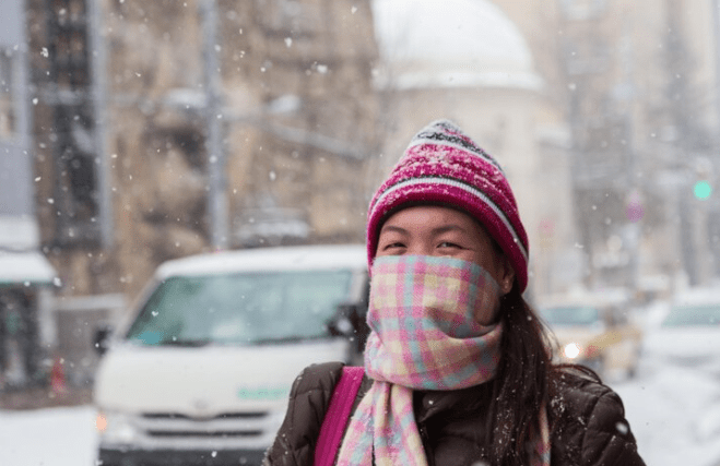 iklim subtropis korea