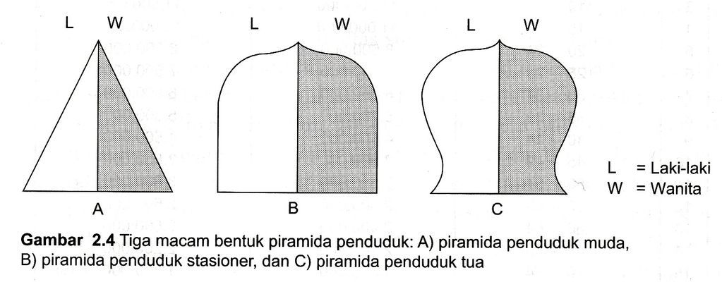 Piramida Kependudukan