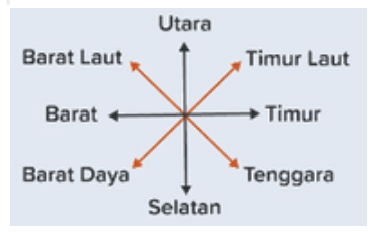 vektor