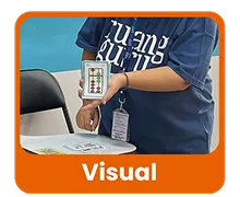 visual