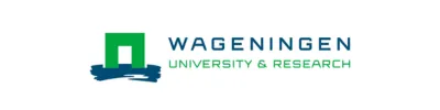 university