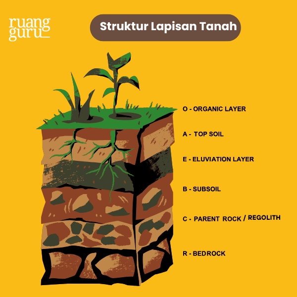 Struktur Lapisan Tanah