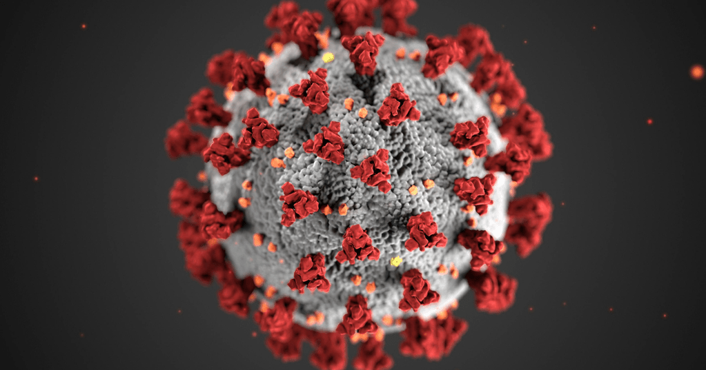 gambar virus
