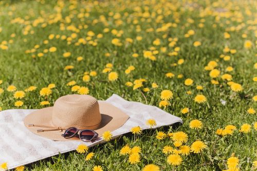 summer (musim panas)