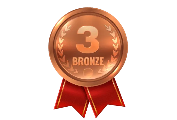 Bronze Prize