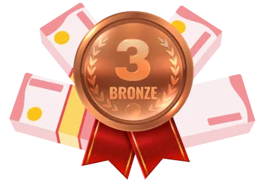 Bronze Prize