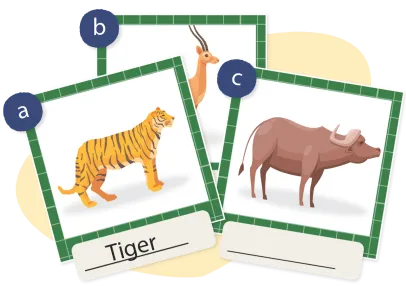 image flash card