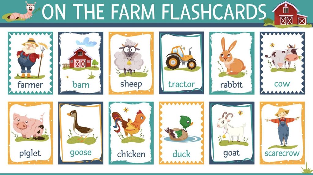 flashcard kartu belajar anak