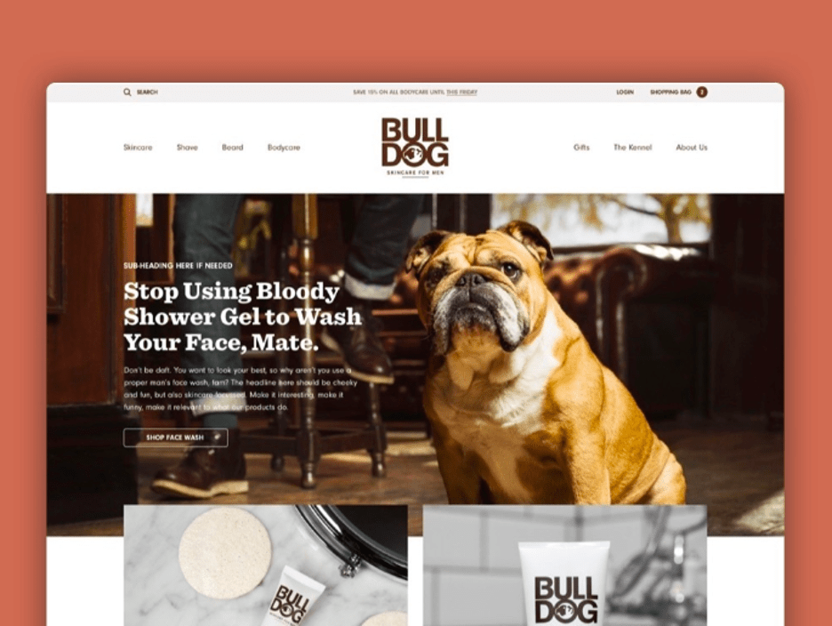 Contoh portofolio kerja web developer