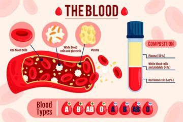 Gambar komponen penyusun darah