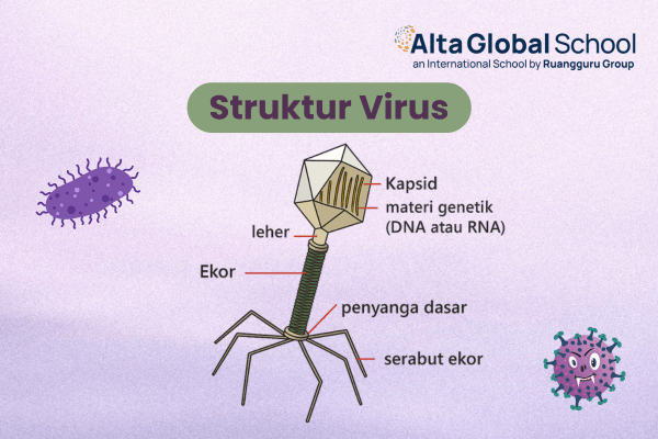 struktur virus
