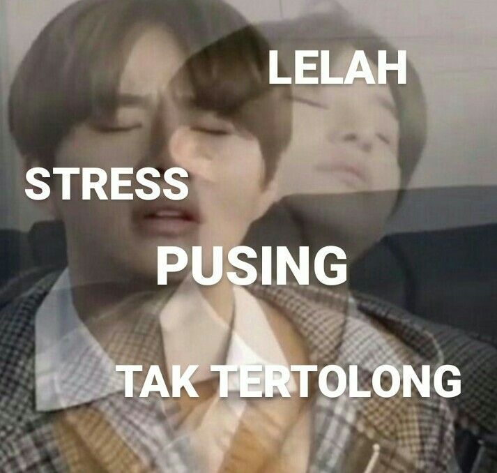 meme pusing nct