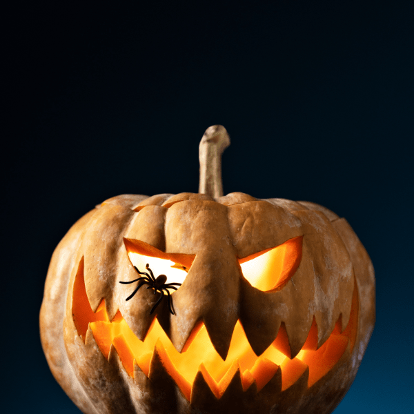 Halloween Pumpkin