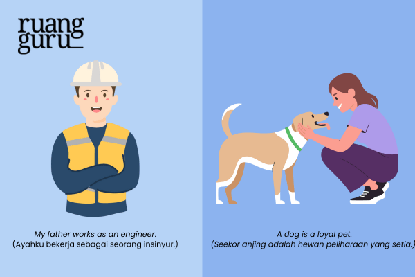 Indefinite Article (a & an)