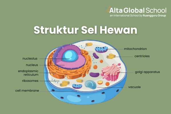 struktur sel hewan