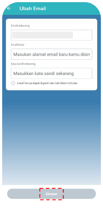Screenshot kolom email