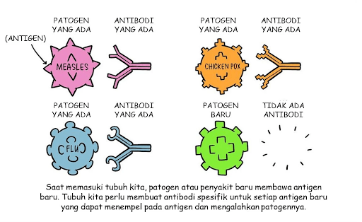 hubungan antigen dengan antibodi