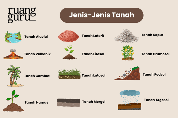 Jenis-Jenis Tanah