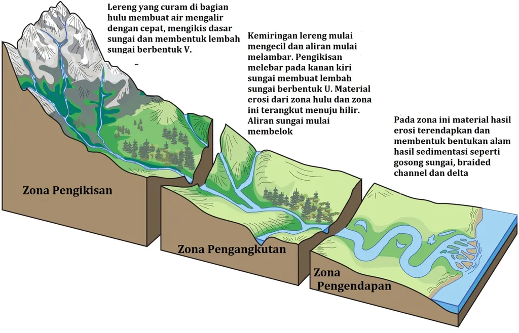 Gambar Sedimentasi