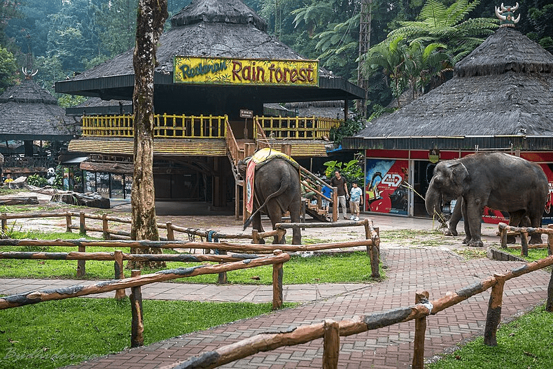 taman safari indonesia