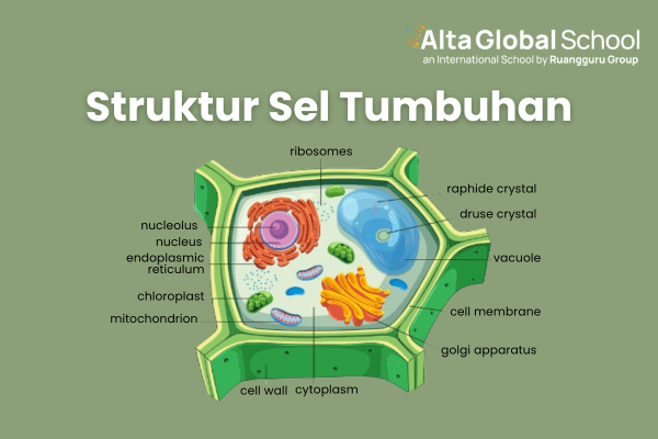struktur sel tumbuhan