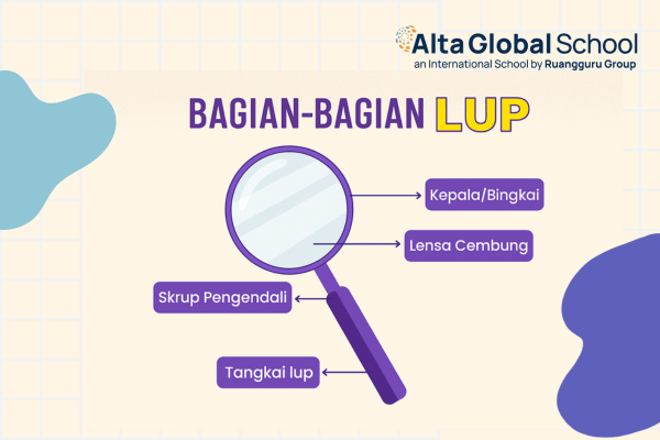 bagian bagian lup