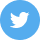 Logo Twitter Footer